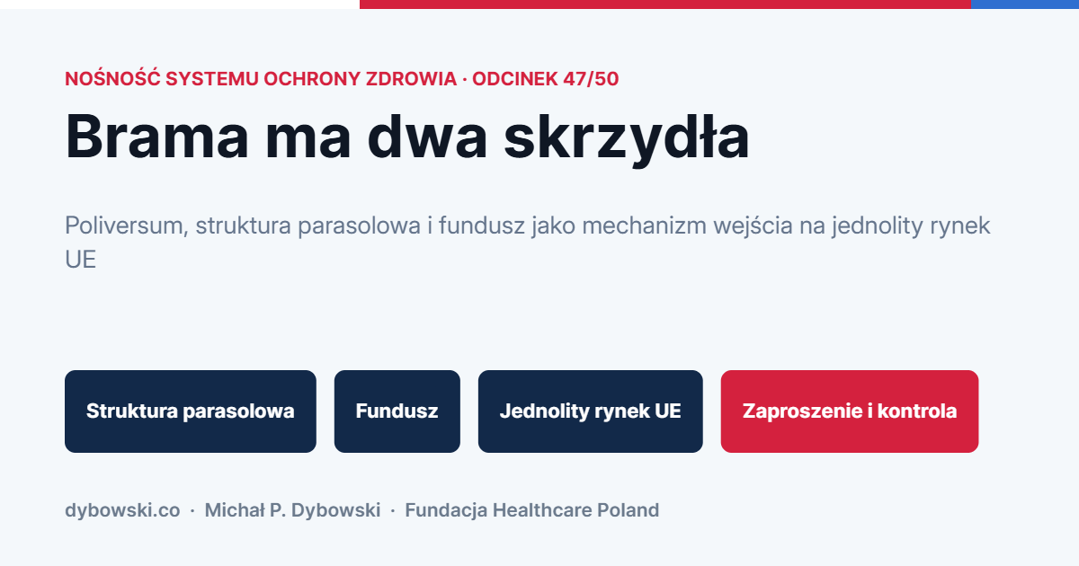 Brama ma dwa skrzydła. Poliversum, struktura parasolowa i fundusz jako mechanizm wejścia na jednolity rynek UE